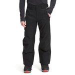 North face men's seymore pants best sale