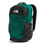 Evergreen/TNF Black