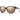 Smith Optics Monterey Sunglasses