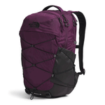 Black Currant Purple/TNF Black