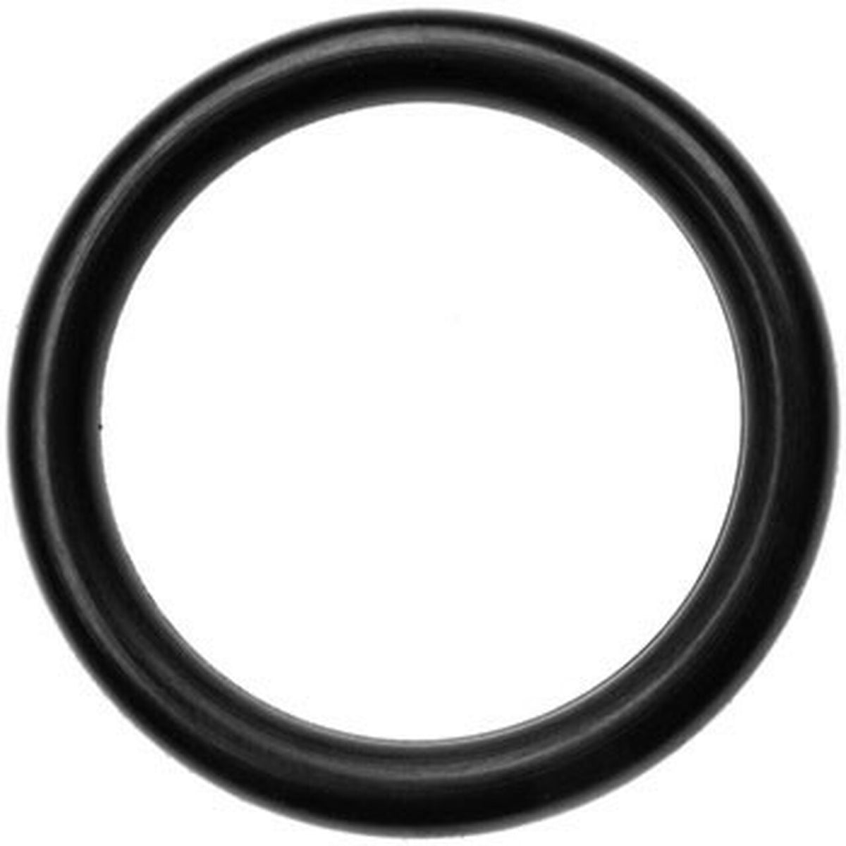 MSR Pump/Fuel Bottle O-Ring — Mountain Sports